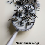 SANATORIUM SONGS, Marc di Saverio
