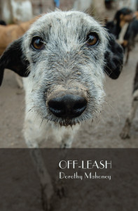Off-Leash cover